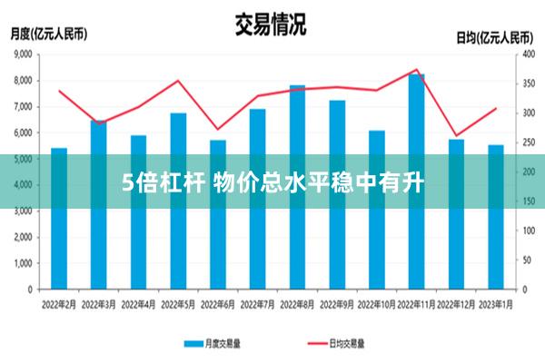 5倍杠杆 物价总水平稳中有升