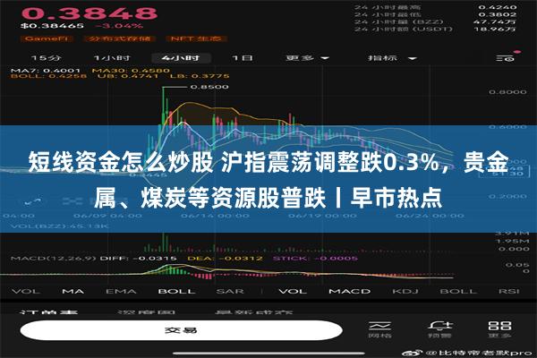 短线资金怎么炒股 沪指震荡调整跌0.3%，贵金属、煤炭等资源股普跌丨早市热点