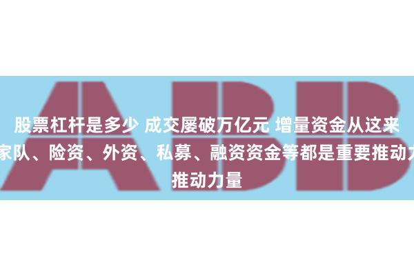 股票杠杆是多少 成交屡破万亿元 增量资金从这来 国家队、险资、外资、私募、融资资金等都是重要推动力量