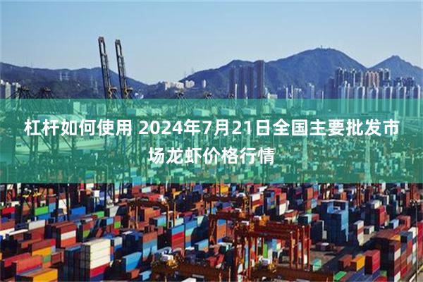 杠杆如何使用 2024年7月21日全国主要批发市场龙虾价格行情