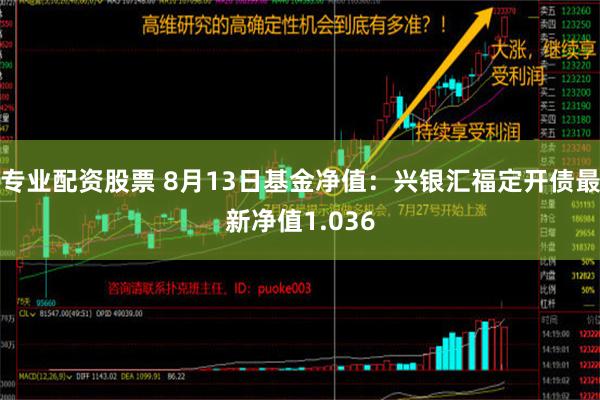 专业配资股票 8月13日基金净值：兴银汇福定开债最新净值1.036