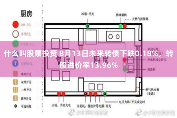 什么叫股票投资 8月13日未来转债下跌0.18%，转股溢价率13.96%