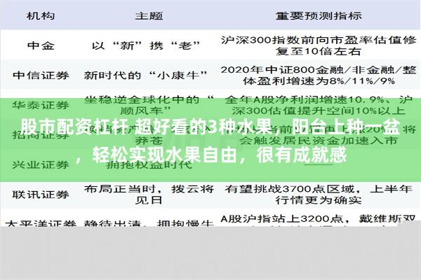 股市配资杠杆 超好看的3种水果，阳台上种一盆，轻松实现水果自由，很有成就感