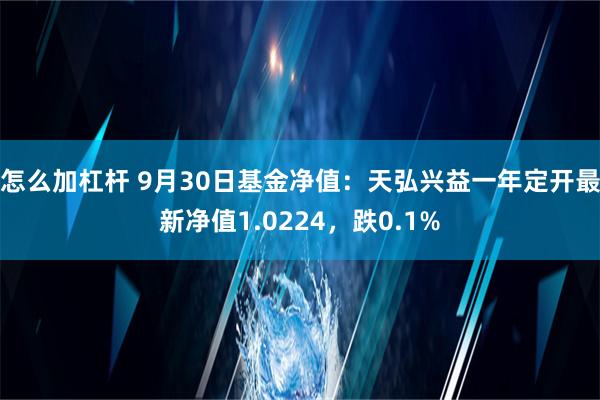 怎么加杠杆 9月30日基金净值：天弘兴益一年定开最新净值1.0224，跌0.1%