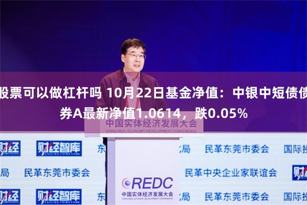 股票可以做杠杆吗 10月22日基金净值：中银中短债债券A最新净值1.0614，跌0.05%