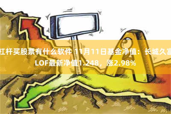 杠杆买股票有什么软件 11月11日基金净值：长城久富LOF最新净值1.248，涨2.98%