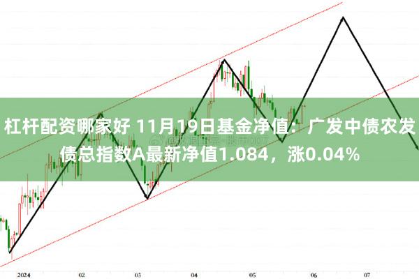 杠杆配资哪家好 11月19日基金净值：广发中债农发债总指数A最新净值1.084，涨0.04%